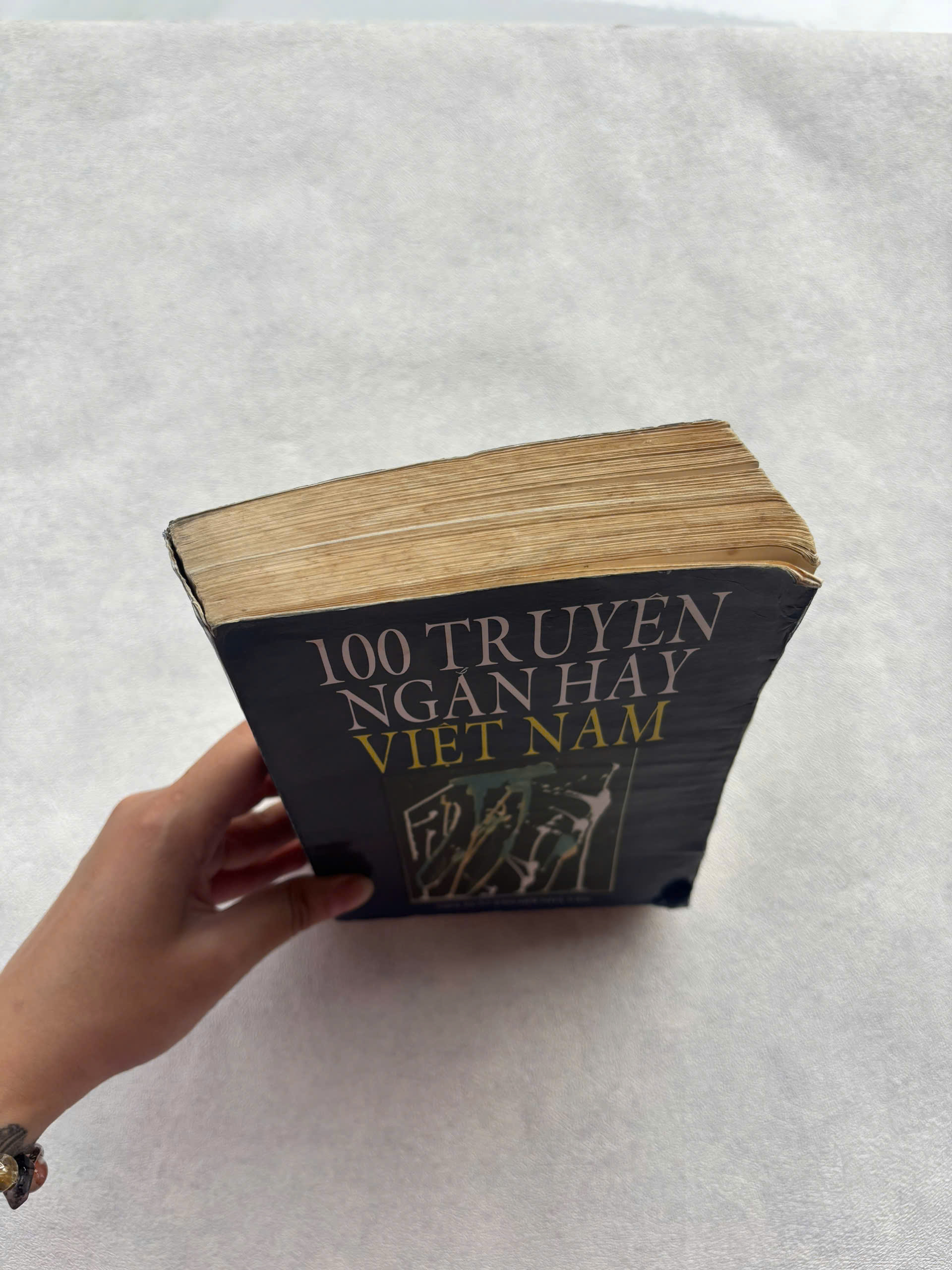 100 Truyện ngắn hay Việt Nam - Ảnh 7